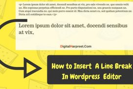 How to insert a line break in wordpress manually