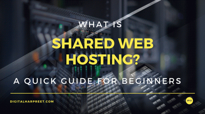 Shared Web Hosting – A Quick Guide For Beginners