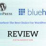 Bluehost Review: Why It’s Best Choice For Newbie Bloggers?