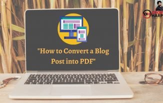 How to Convert Blog Post into PDF In Seconds