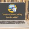 How to Convert Blog Post into PDF In Seconds